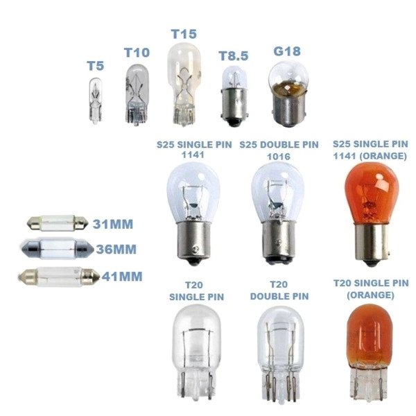 40103-Light Bulbs |  لمبات اضاءة